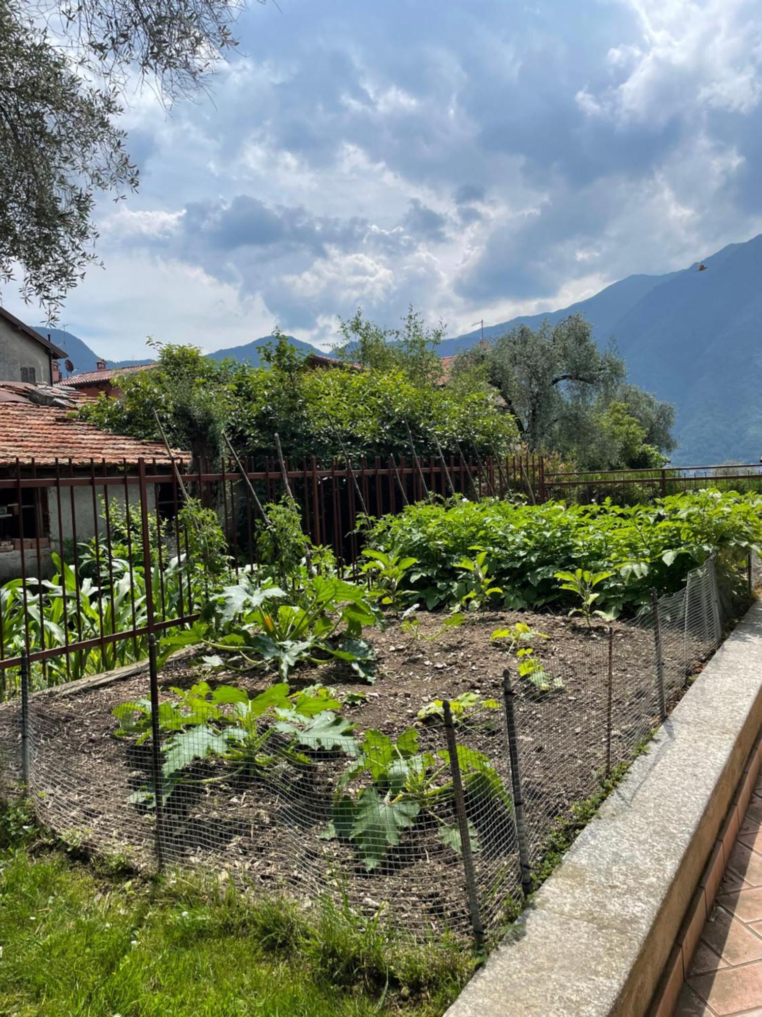 Ferienhaus Family House *